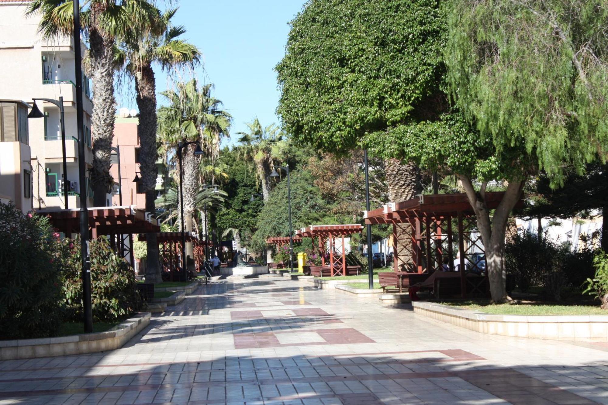 Апартаменти Primavera Tenerife Sur Арона Екстер'єр фото